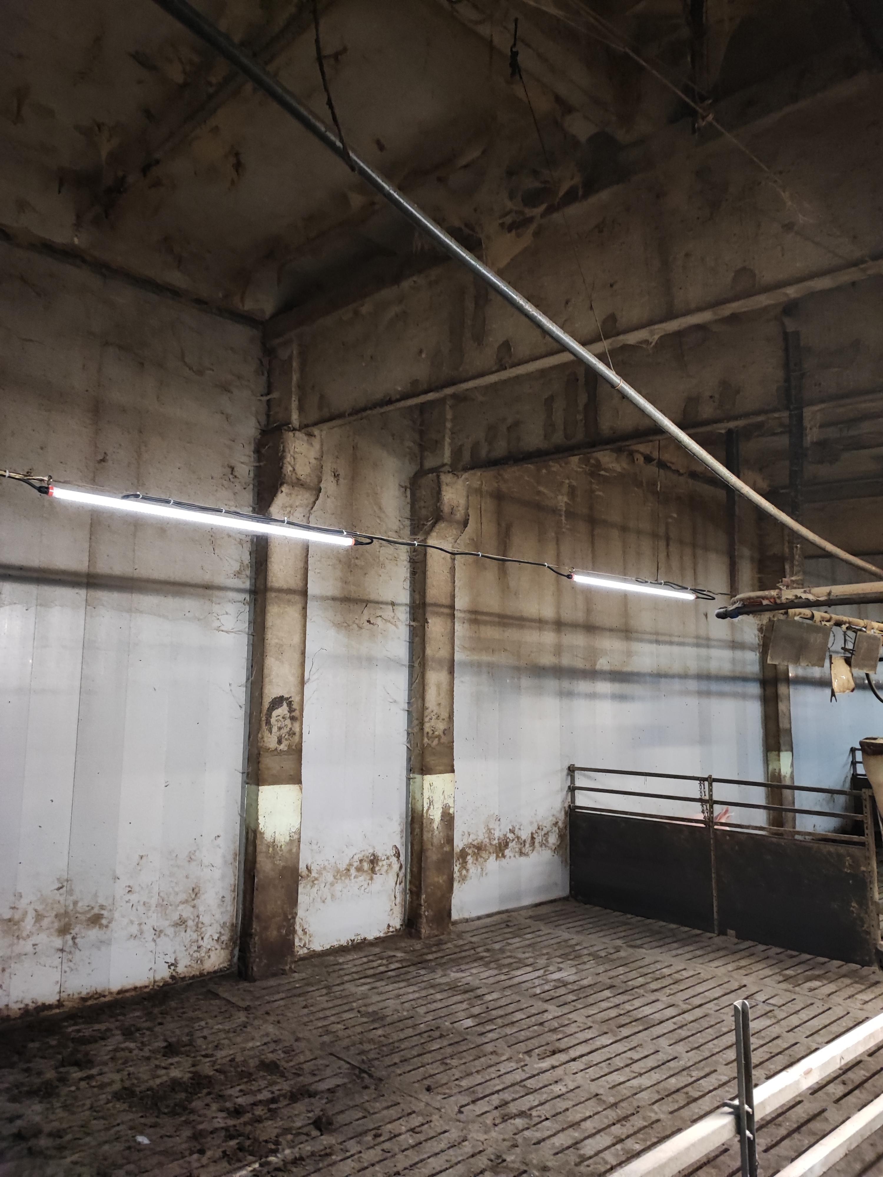 Ūdensizturīgs LED cauruļveida gaismeklis IP67 ar 3,5 m kabeli (ON/OFF)